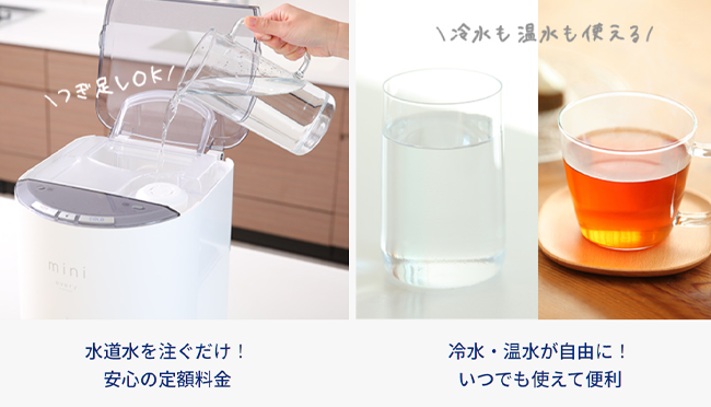 エブリィフレシャス